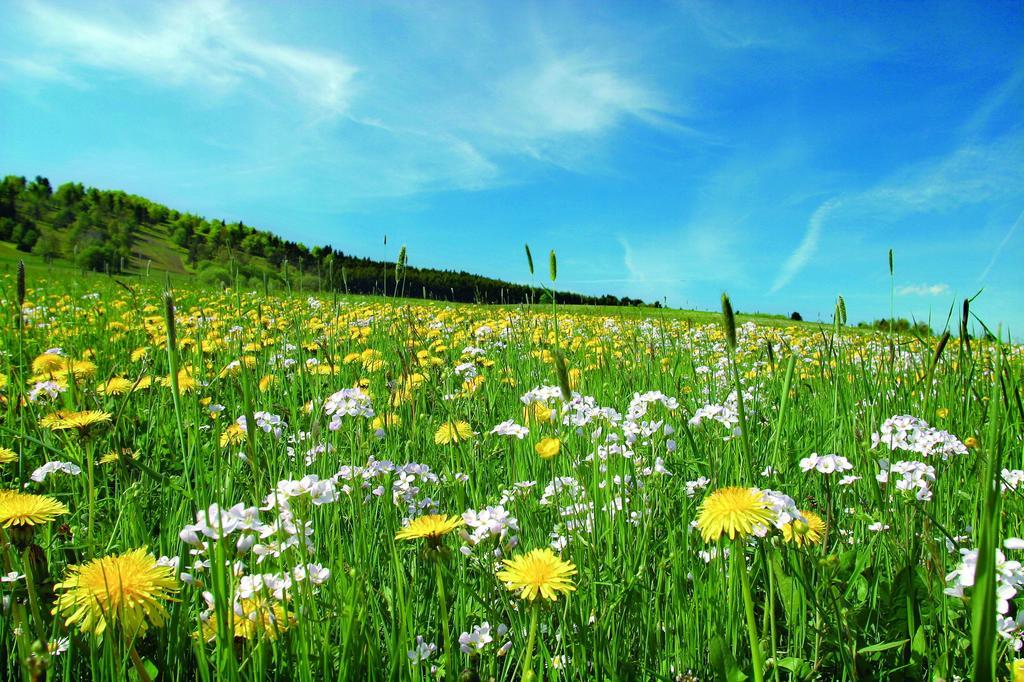 Aparthotel Jaegerhaus Willingen  Luaran gambar